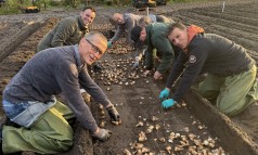 News image: CNB Narcissenshowtuin Bollenstreek: klaar voor een bloeiend voorjaar!